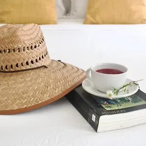 Bed and breakfast Casa Del Artista -, Playa del Carmen